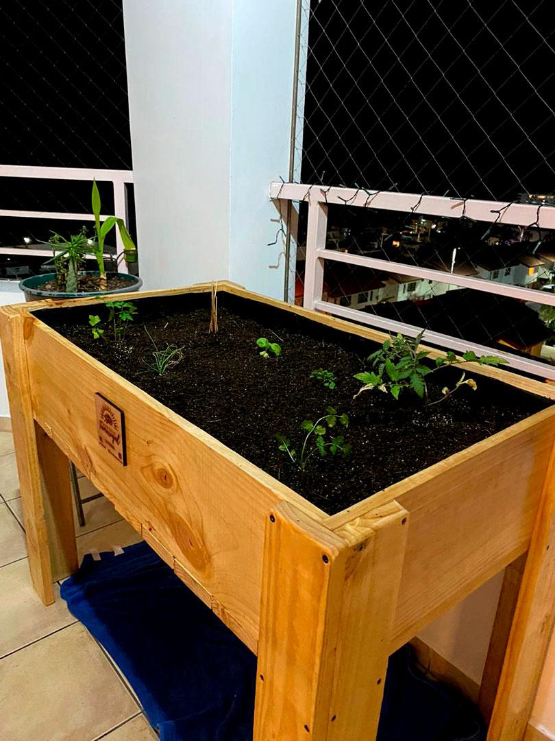 agricola-tamarugal-6