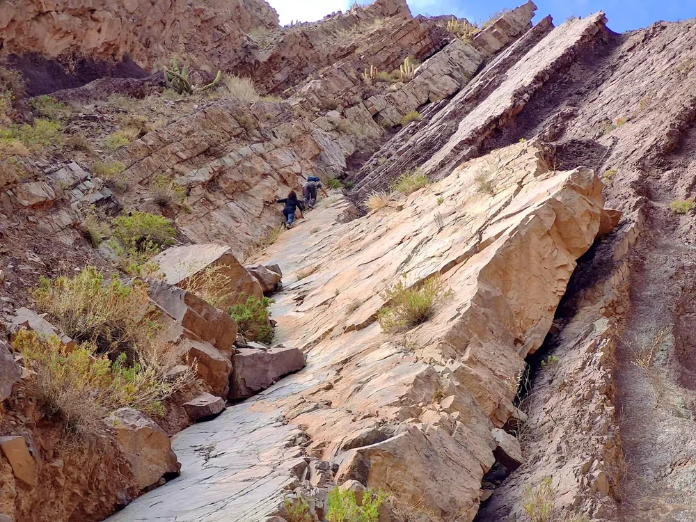 Parque Jurásico de Huatacondo 4