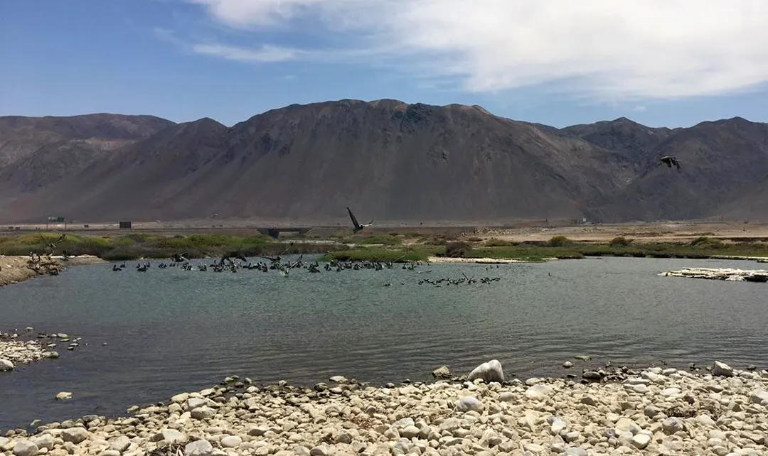rio loa santuario de la naturaleza 2