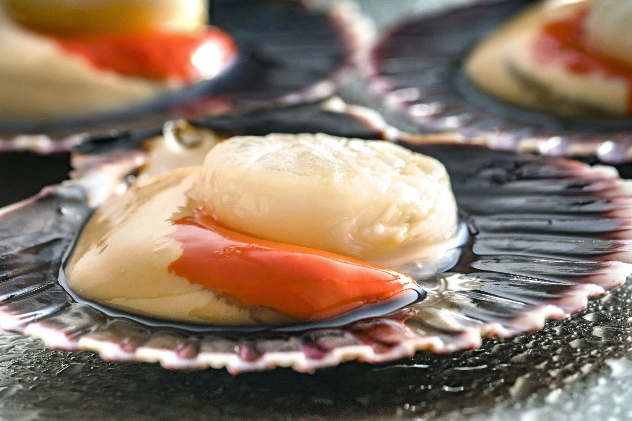 ostion biomaterial 5