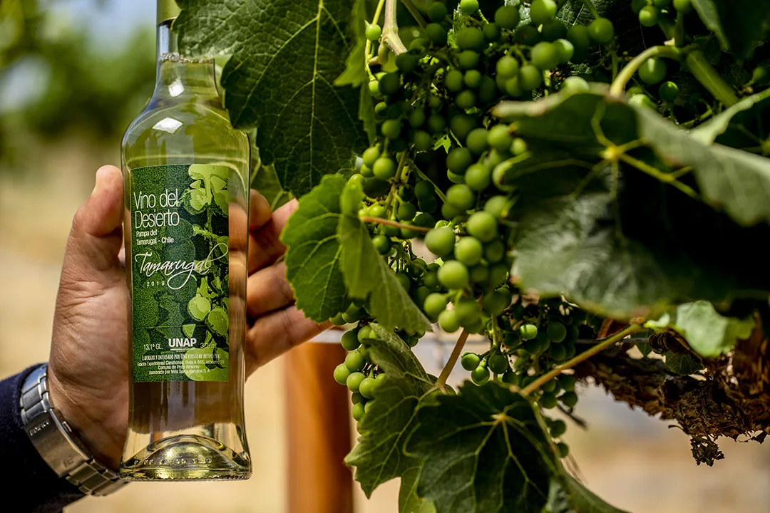 unap de aniversario 3