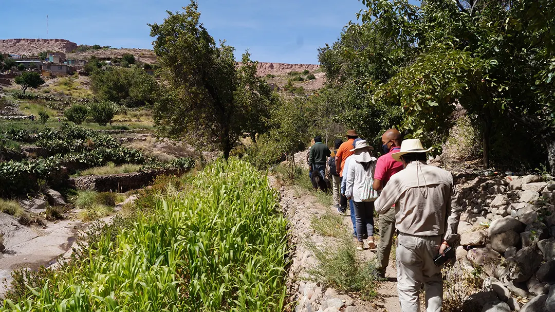 Sipan Patrimonio agricola altoandino 4