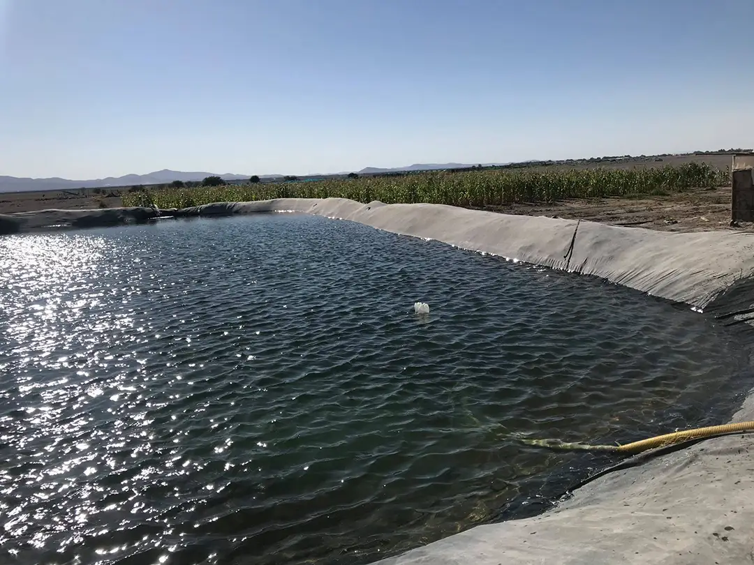 agricultura bajo soga tarapaca 5