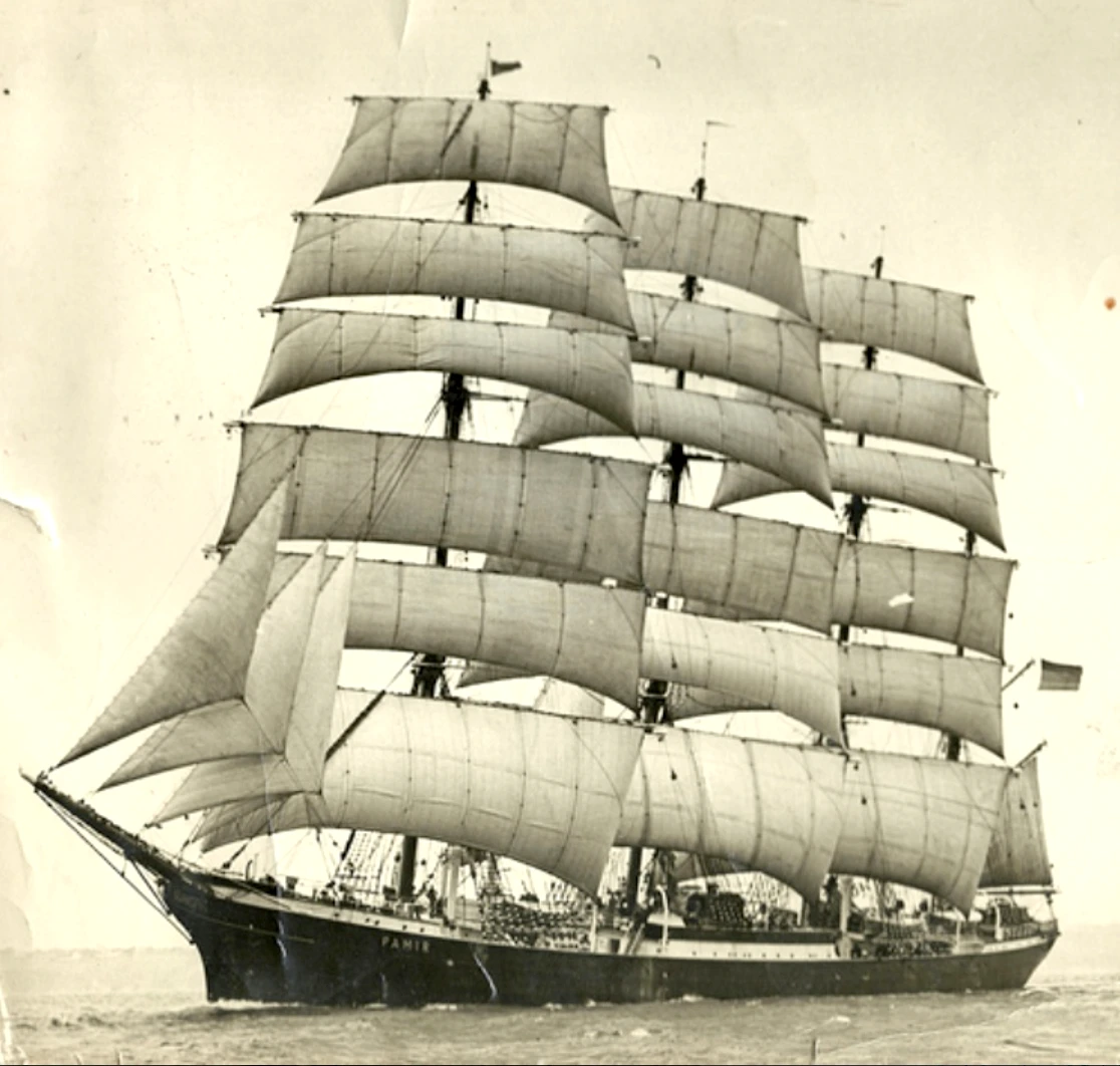 PAMIR LAEIZ clippers