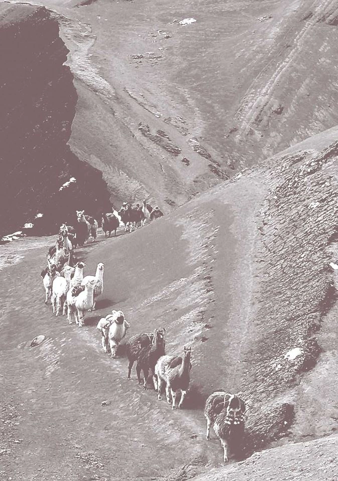 Investigando la muerte viajeros rutas carnavaleras