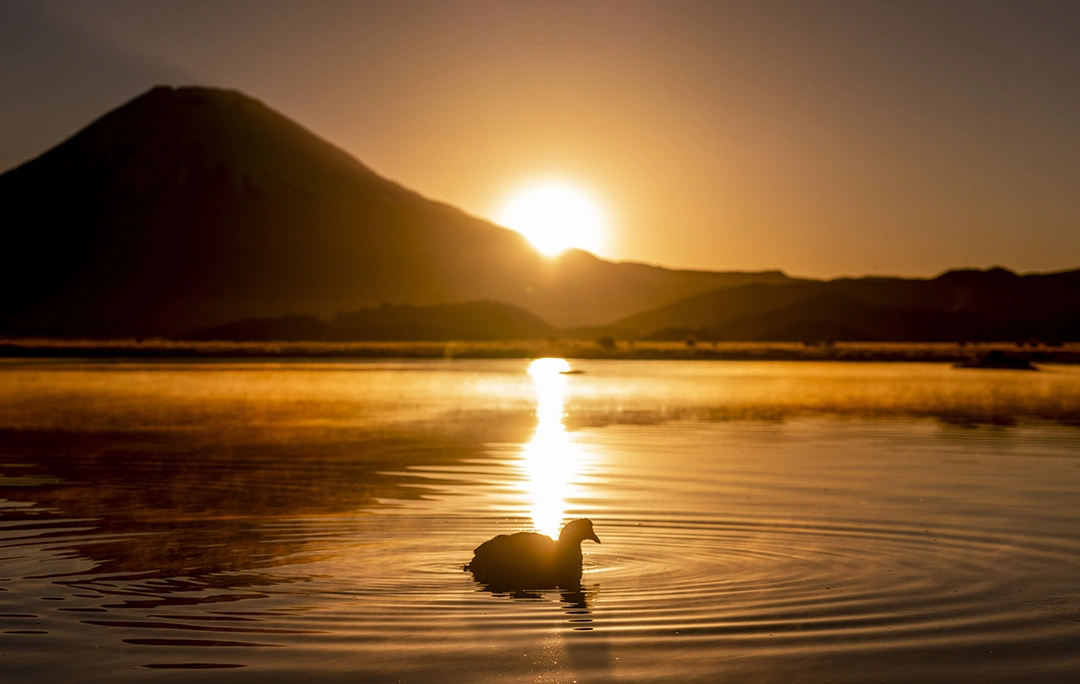 Constitucion y medio ambiente 4