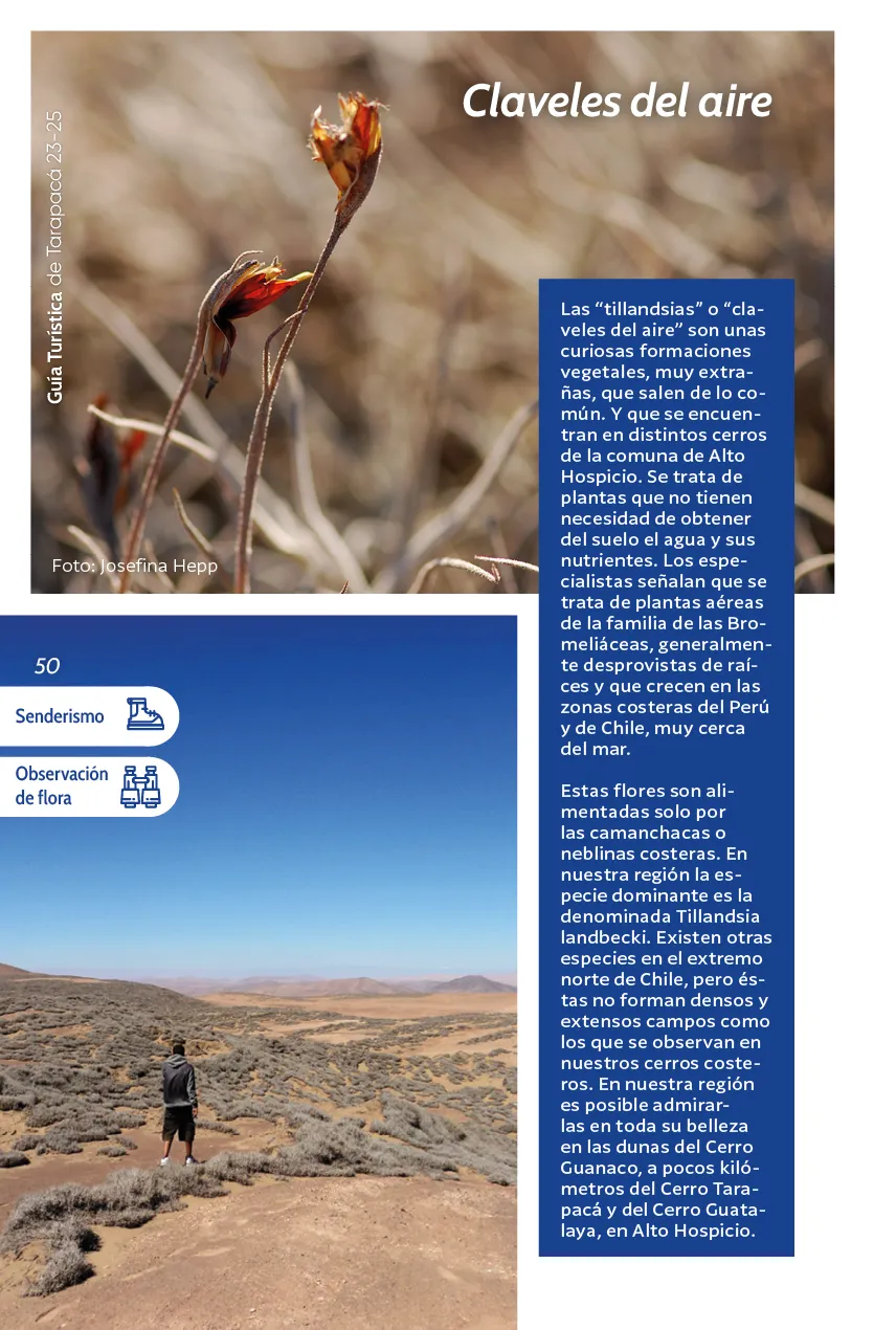 Guía Turística de Tarapacá 2023-2025 - página50
