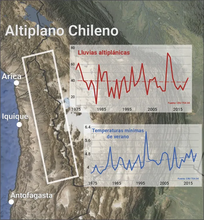 gráfico desierto seco