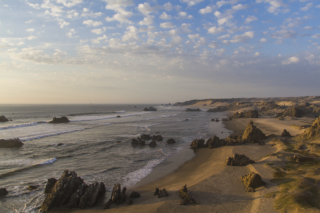 Lomas Oasis-península de Illescas, en Piura, Perú 2