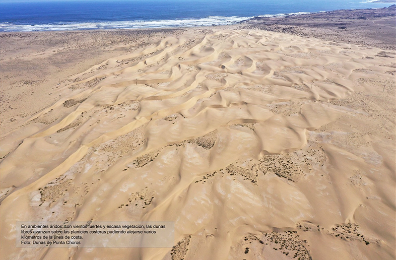 dunas punta de choros Fotos Hermann Manríquez