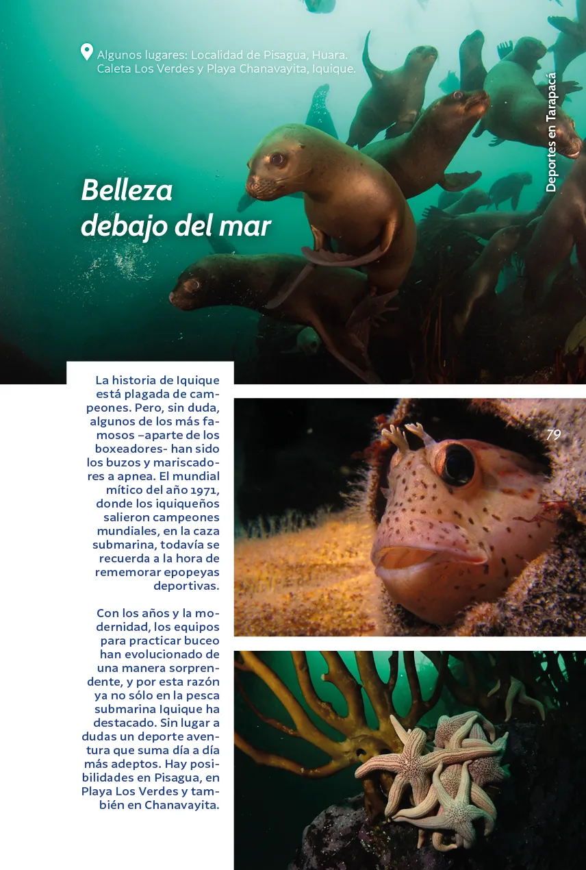 Guía Turística de Tarapacá 2023-2025 - página79