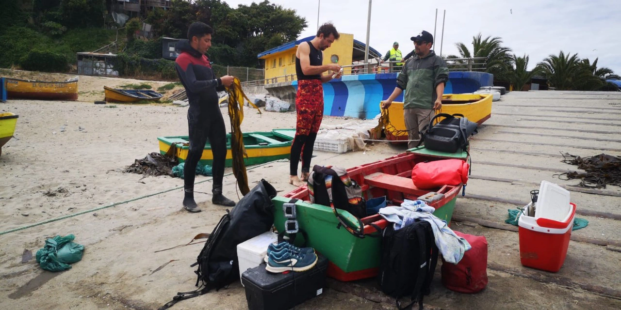 Acuicultura en chiloe 3