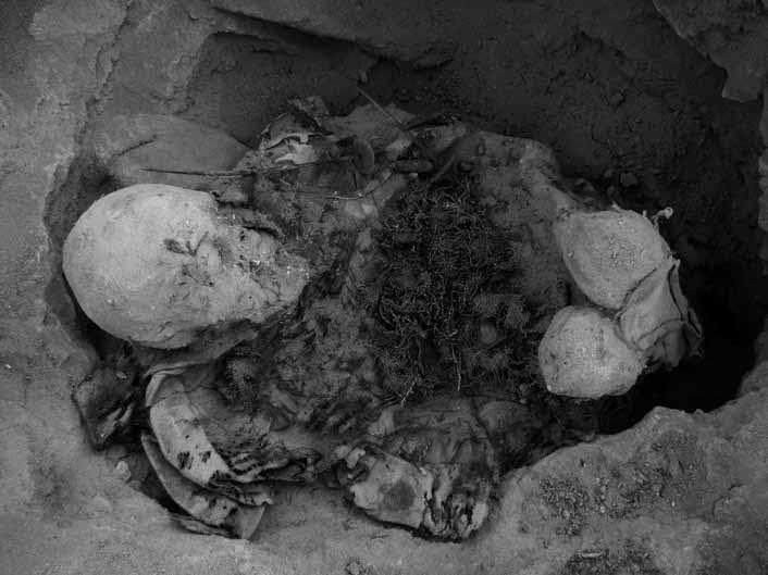 Investigando la muerte viajeros 1