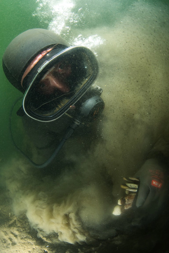 Buzo concurso foto fotopez