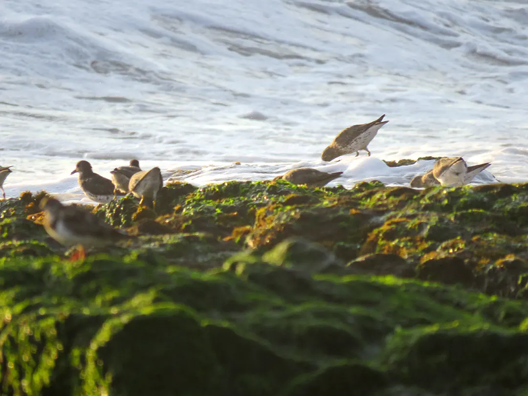 Catela Territorios de castigo social 2