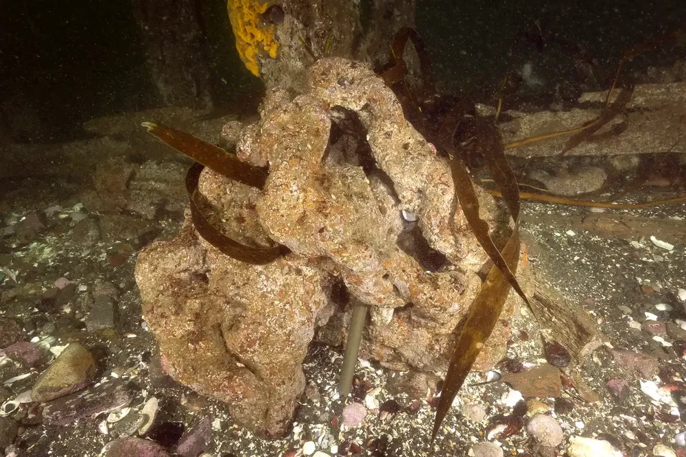arqueologia submarina pabellon pica 5