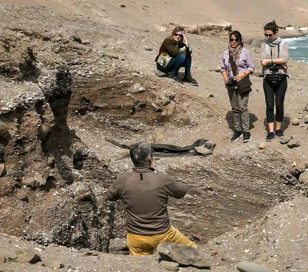 CHIN conchales chinchorro 4