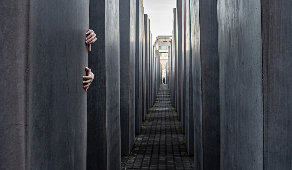 Instalacion hormigon foto rizomas