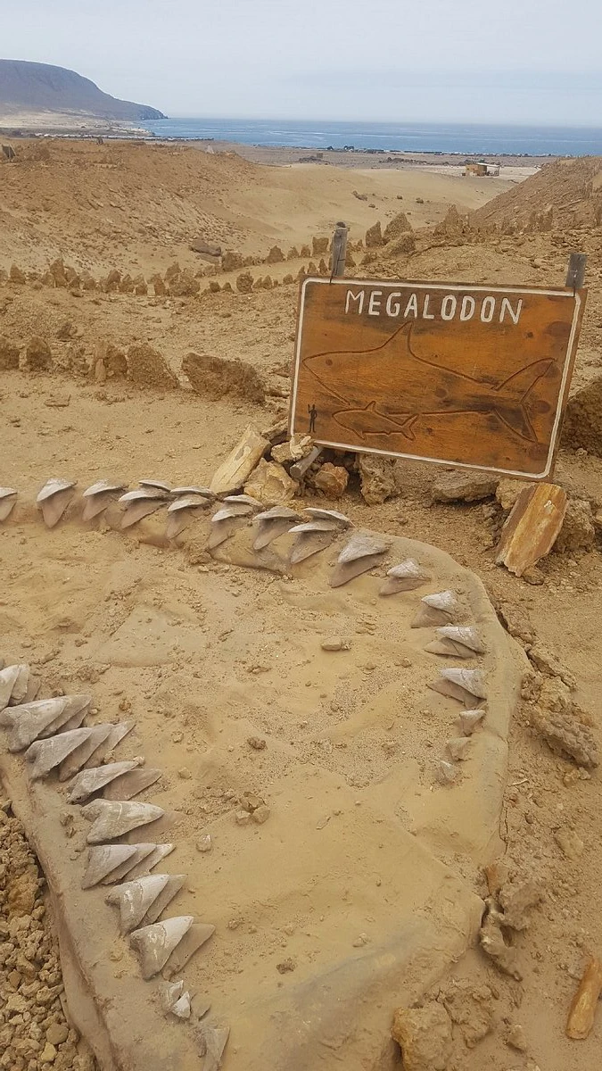 Parque paleontológico Los dedos 3