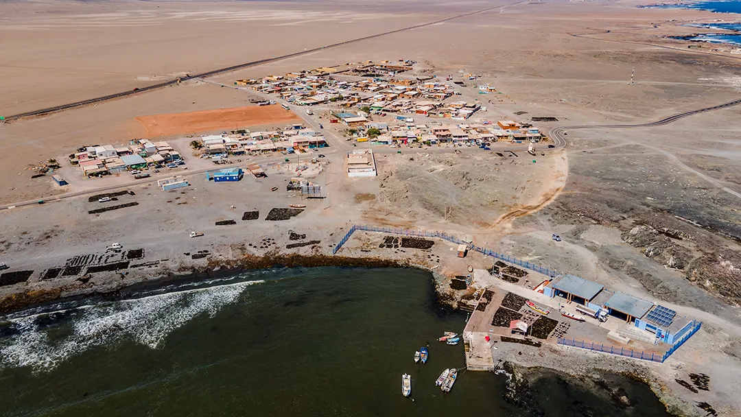 Catela Territorios de castigo social 3