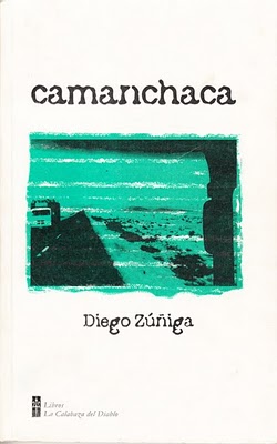 diego camanchaca
