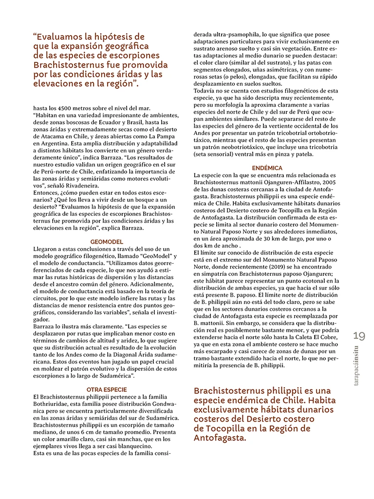 PAGINAS INSITU 73 MEDIA19