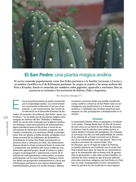 PAGINAS IN SITU 56 IMPRENTA10