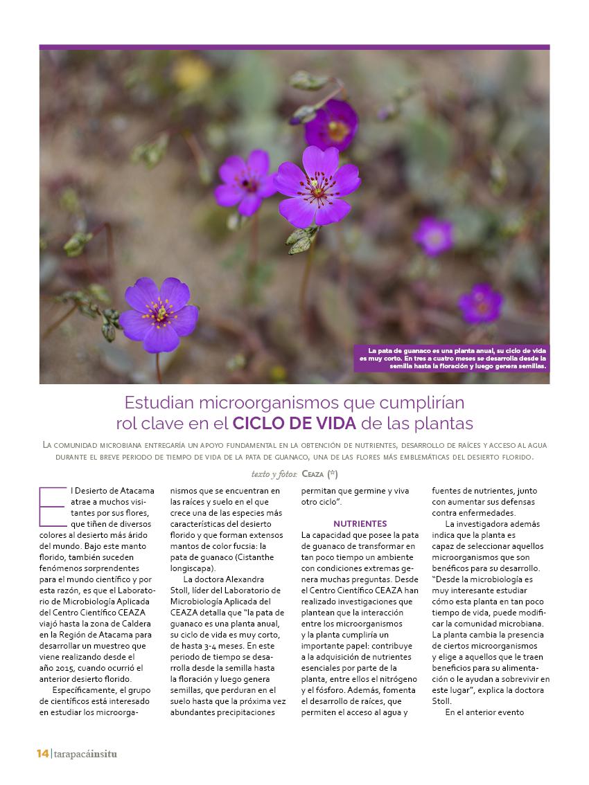 tarapacainsitued4314