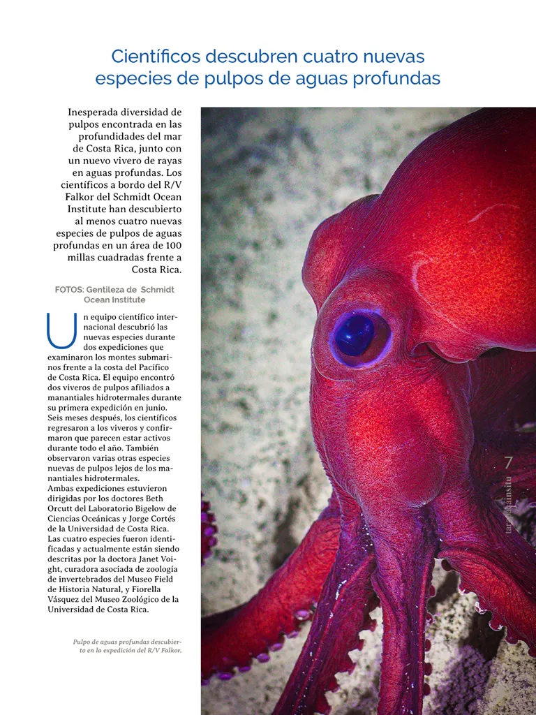 PAGINAS IN SITU 66  PNG7