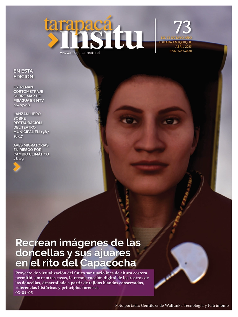 PAGINAS INSITU 73 MEDIA