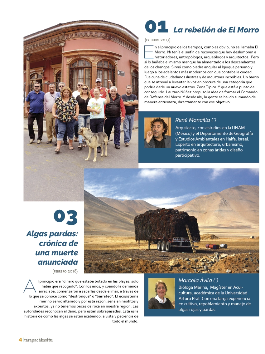 Revista Tarapacá Insitu ed50 - Página 4