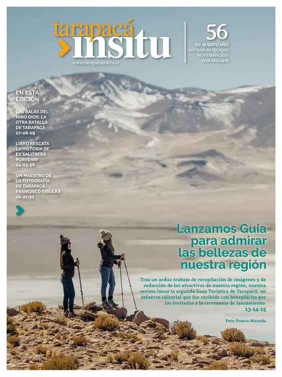 PAGINAS IN SITU 56 IMPRENTA