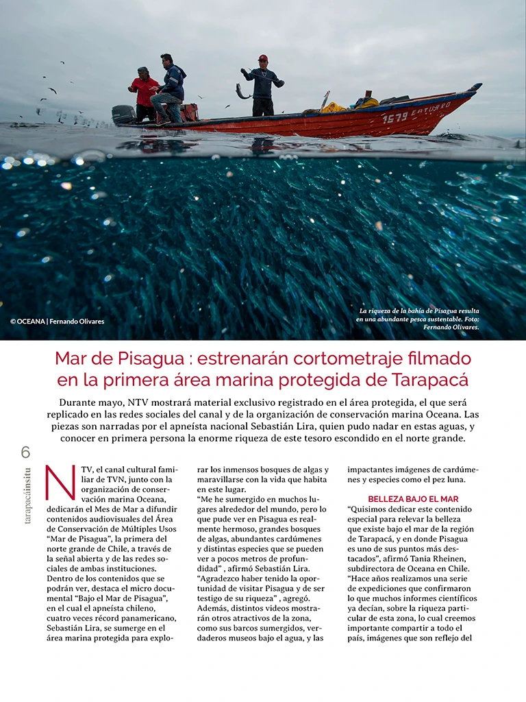 PAGINAS INSITU 73 MEDIA6