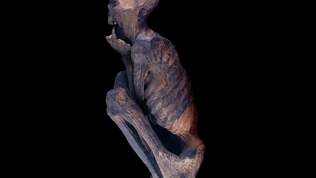 momia egipcia