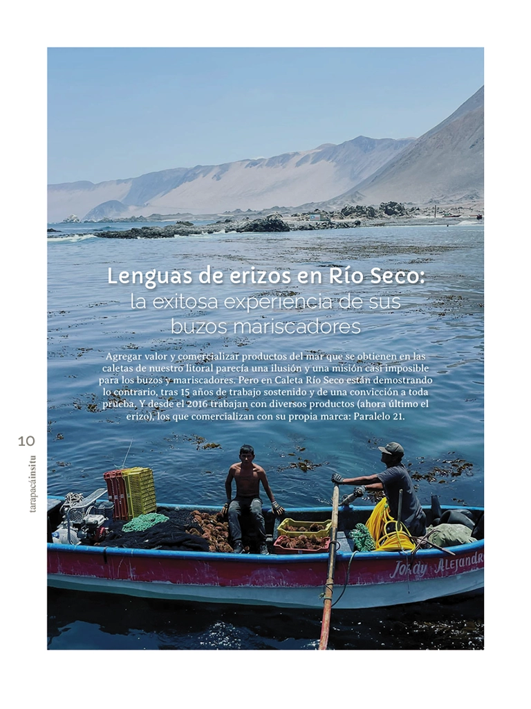 Revista Tarapacá Insitu ed54 - Página10