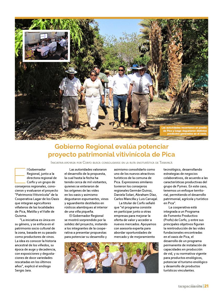 Revista Tarapacá Insitu Ed46 - Página 021