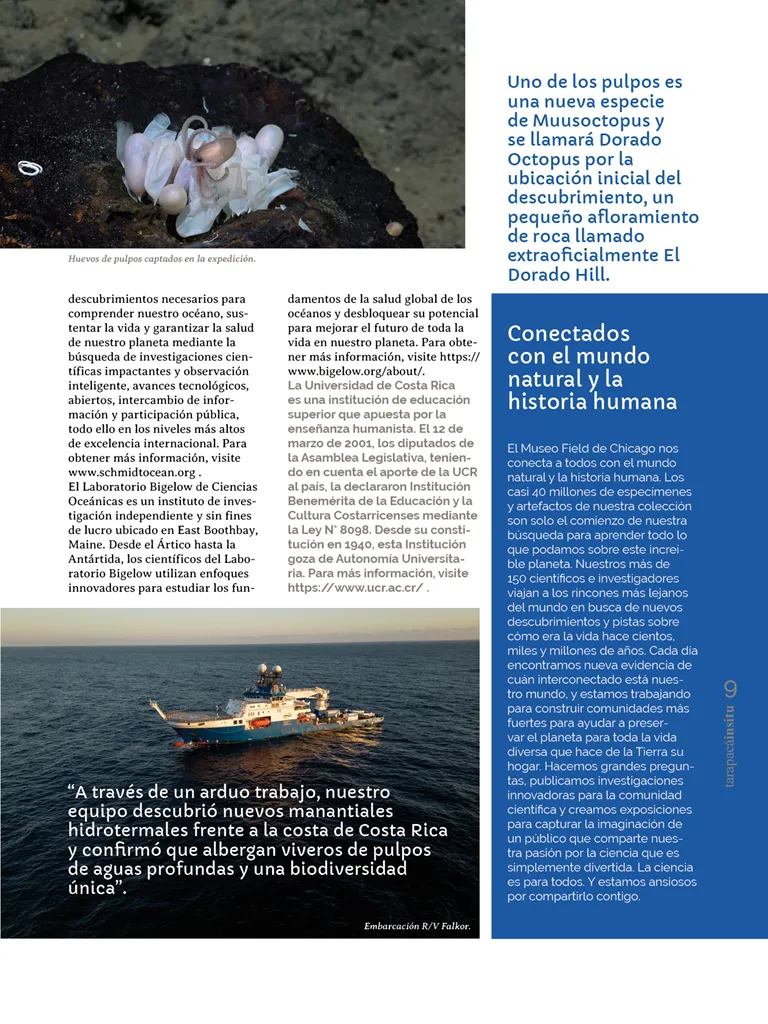 PAGINAS IN SITU 66  PNG9