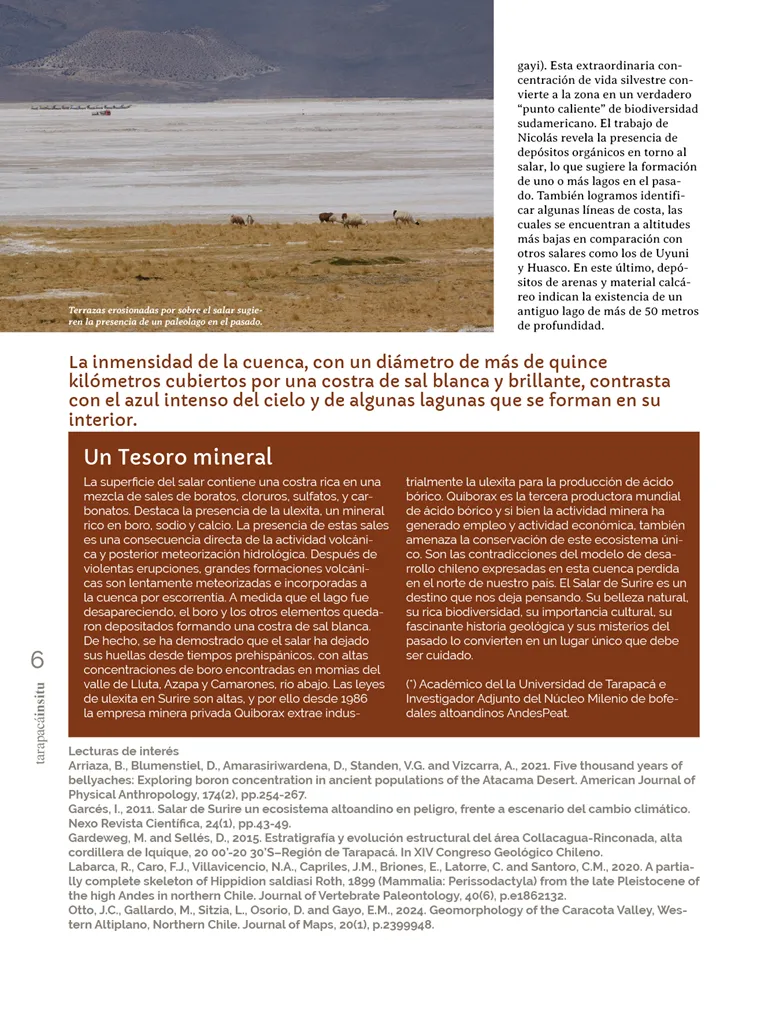 PAGINAS IN SITU 66  PNG6