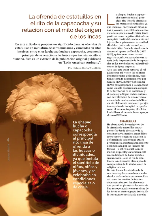 PAGINAS IN SITU 64 MEDIA4