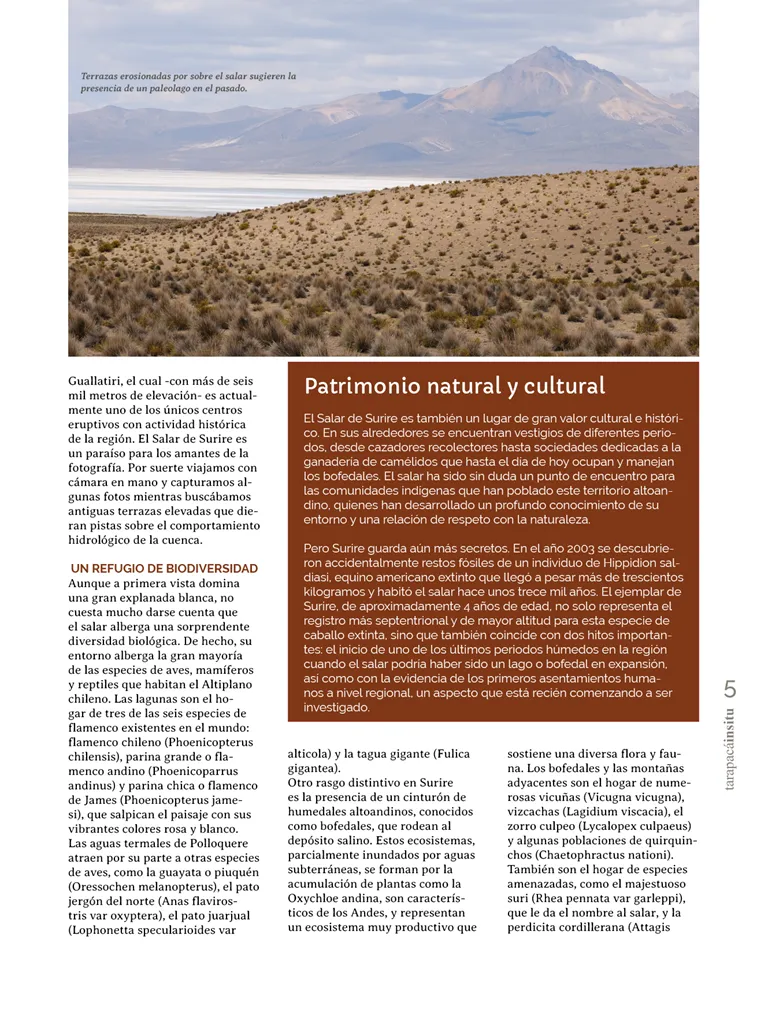 PAGINAS IN SITU 66  PNG5