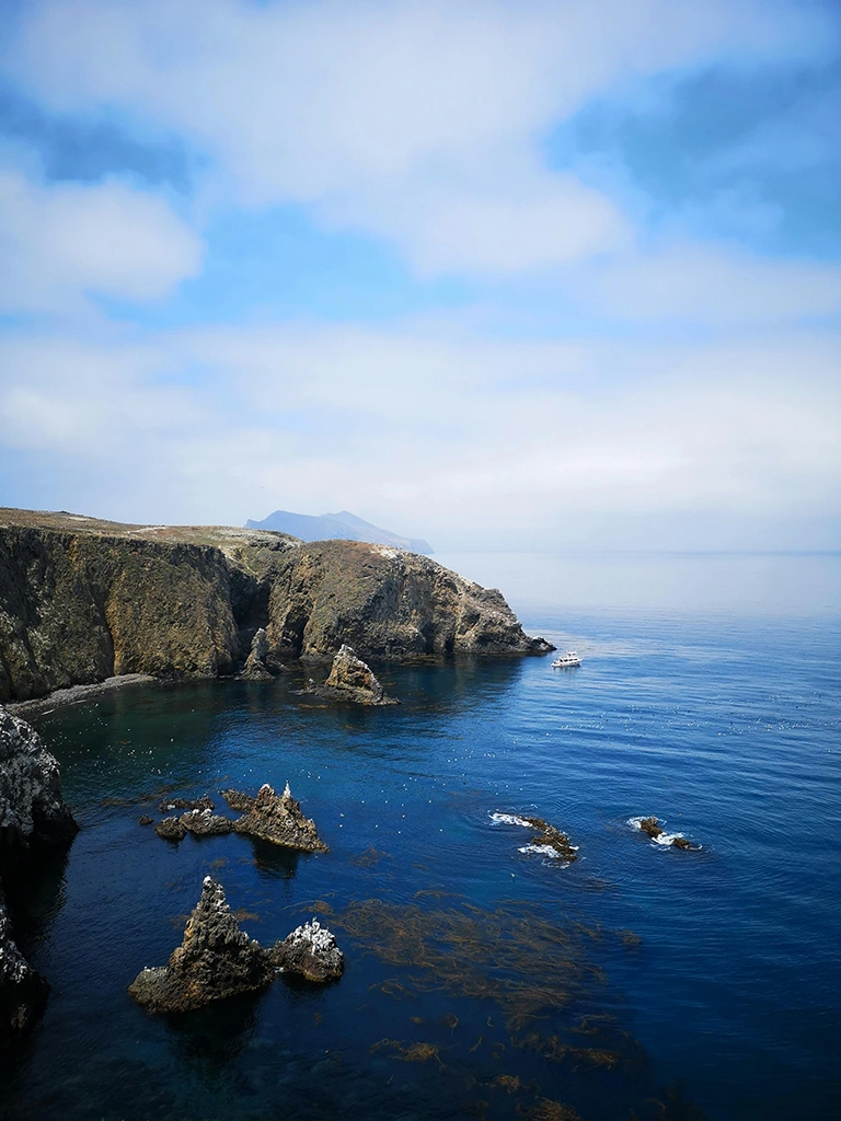 océano 4 Shoayun Yan