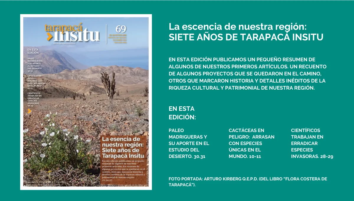 Portada Horizontal para TI