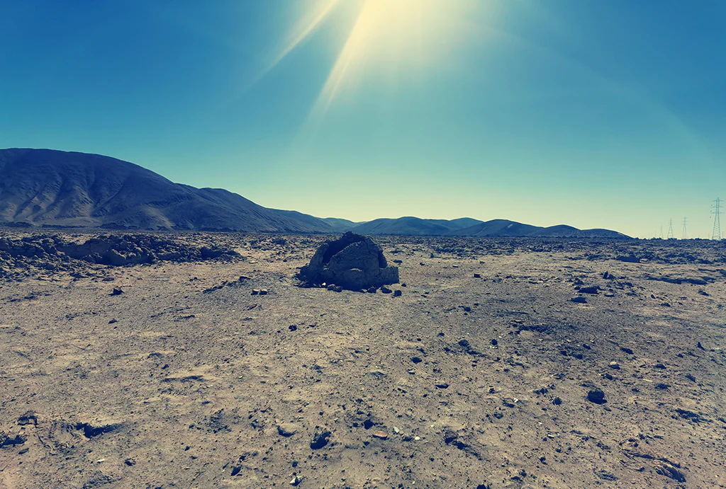 8-Faenas de bórx, sector Las Tizas