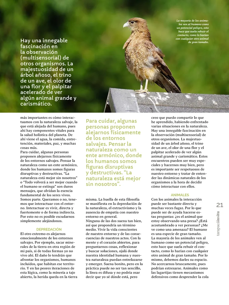 PAGINAS IN SITU 66  PNG21