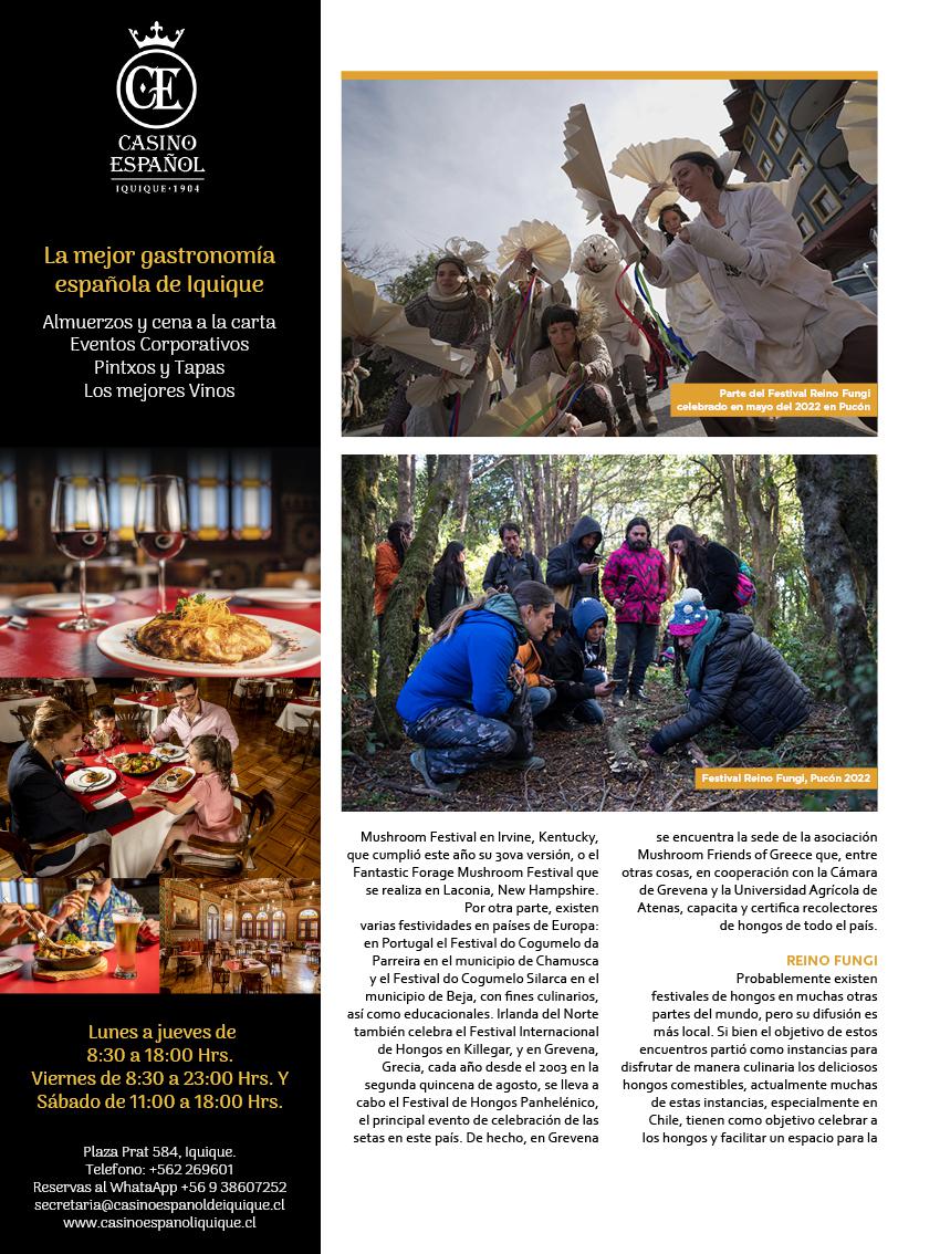 Revista Tarapacá Insitu Ed44 - Página30
