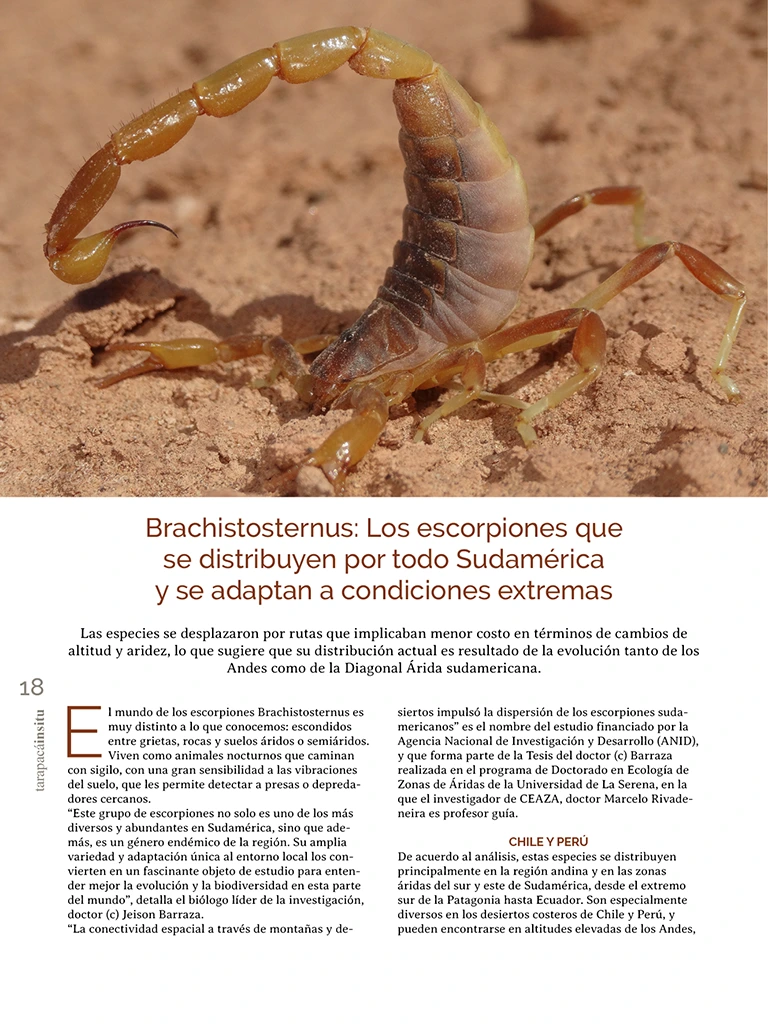 PAGINAS INSITU 73 MEDIA18