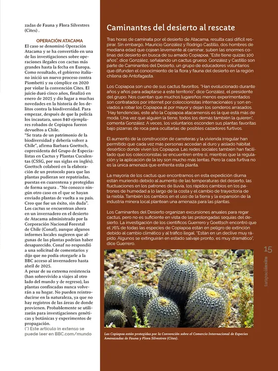 PAGINAS INSITU 72 PNG15