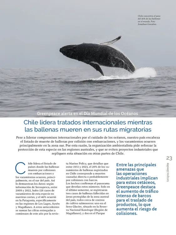 PAGINAS INSITU 74 MEDIA_Página_23