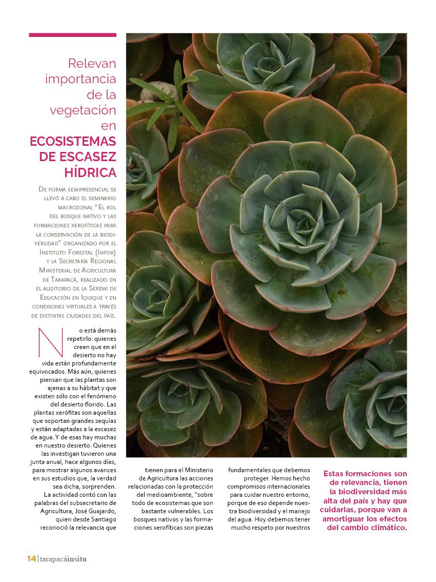 Revista Tarapacá Insitu Ed44 - Página14