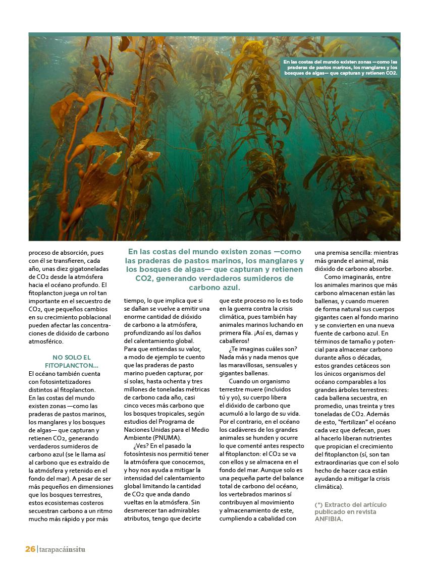 Revista Tarapacá Insitu ed45 - Página26